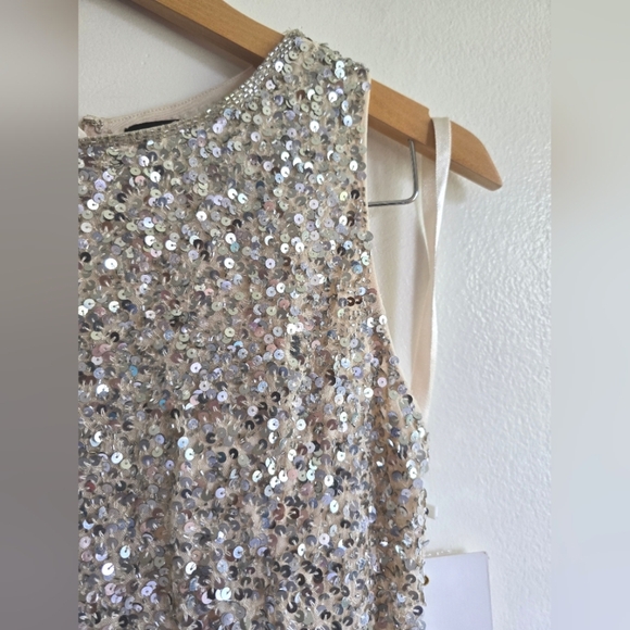 NWT! Mac Duggal, Sleeveless Sequined Midi Sheath Dress, Silver Nude, Size 2 - Picture 7 of 11